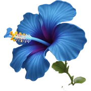 Blue hibiscus flower sticker