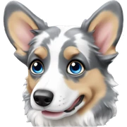 Blue Merle welsh corgi sticker