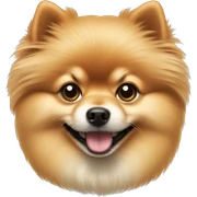 Pomeranian  sticker