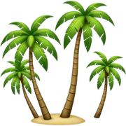 Palm trees  sticker