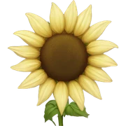sunflower sticker