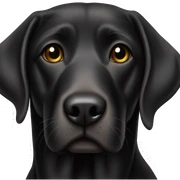 Black lab sticker