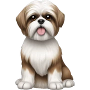 Shih Tzu  sticker