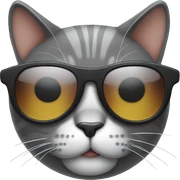 Cat with sunglasses sticker