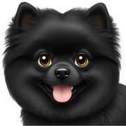 Black Pomeranian being cute sticker