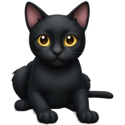 Black cat sticker