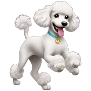 Dancing poodle sticker