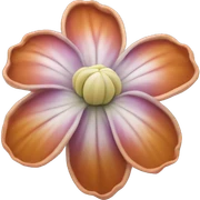coquina flower  sticker