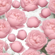 Peonias rosas sticker