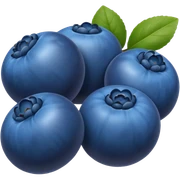 Blueberries sticker