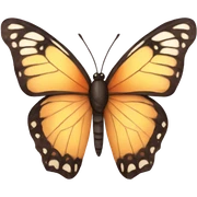 Butterfly  sticker