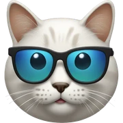 Cat with sunglasses sticker