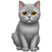 british shorthair sticker