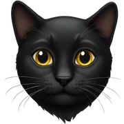 black cat sticker