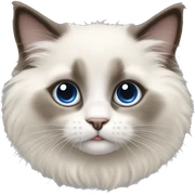 Ragdoll kitten sticker