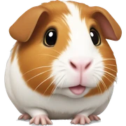 Guinea pig sticker