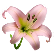 light pink lilium sticker