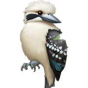 Kookaburra sitting in a gum tree sticker