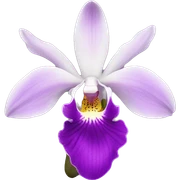 orchid sticker
