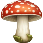 Amanita muscaria  sticker