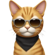 Cat with sunglasses sticker