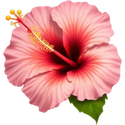 hibiscus sticker
