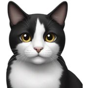 Black and white cat sticker