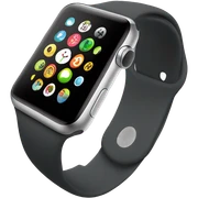 Apple Watch sticker