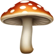 Mushroom sticker