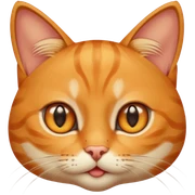 Star-struck cat sticker