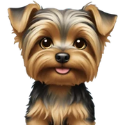 Yorkie puppy standing sticker
