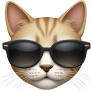 Cat with sunglasses sticker