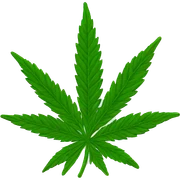 marijuana sticker