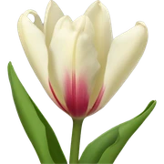 tulipan africano flower sticker