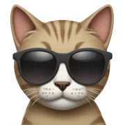 Cat with sunglasses sticker