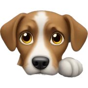 dog in the car sticker