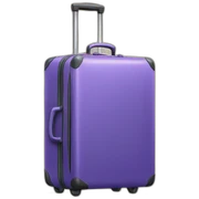 luggage sticker
