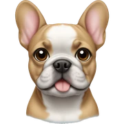 frenchie sticker