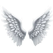 angel wings sticker