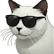 Cat with sunglasses sticker
