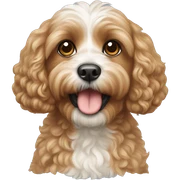 cavapoo  sticker