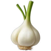 Garlic sticker