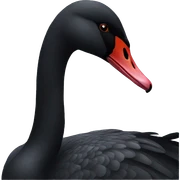 Black swan sticker