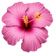 Pink hibiscus flower sticker