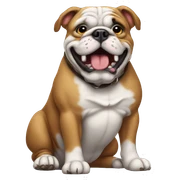 Bulldog  sticker