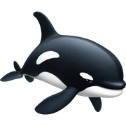 Orca sticker