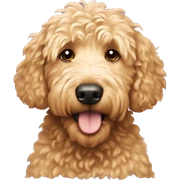 Golden doodle sticker