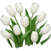 white tulips  sticker