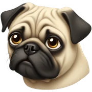 Pug sticker