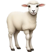 Lamb sticker